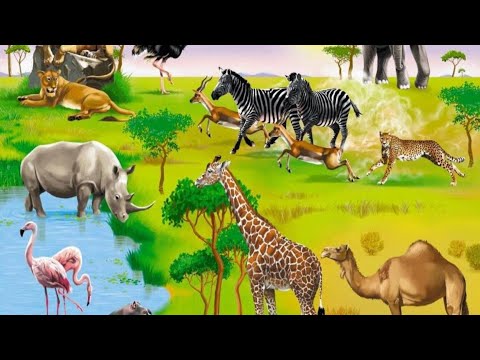 Видео: Зоопарк 2024 -Ростов на Дону (часть 1 )/Zoo 2024 -Rostov on Don (parte 1)🐖🐰🐿️🦔🐐🦒