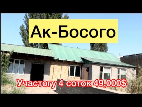 Видео: Ак-Босогодон там сатылат срочно арзан чыкты