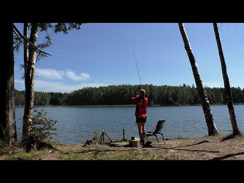 Видео: ПОГОДА И ЗВЕРИ ВНЕСЛИ КОРРЕКТИВЫ В РЫБАЛКУ...