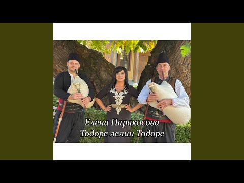Видео: Тодоре лелин Тодоре