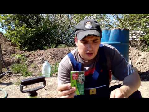 Видео: Весенняя обработка ремонтантной малины