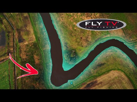 Видео: FLY TV - Лосось в малых реках Дании (ловля двуручным нахлыстом)