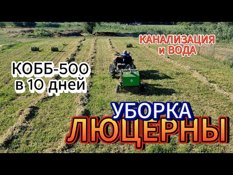 Видео: КОББ-500 в 10 дней.Канализация и вода.Четвёртый укос люцерны.Кто жрёт огурец?!