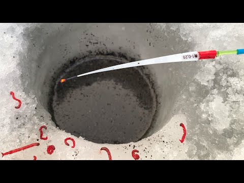 Видео: ХАПНУЛА УДОЧКУ В ЯМЕ...ТОЛЬКО СТАЛ ЕСТЬ! Самая НЕРВНАЯ рыбалка 2025