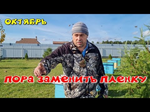 Видео: КОГДА МЕНЯТЬ ПЛЕНКУ НА ХОЛСТИК. ПАСЕКА В ОКТЯБРЕ.