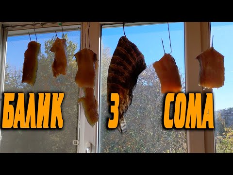 Видео: БАЛИК З СОМА
