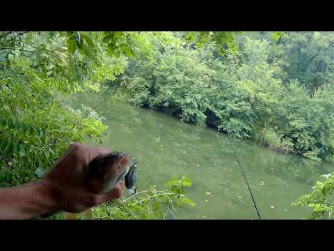 Видео: Септември  2021 риболов на кефал с ултралайта и воблели