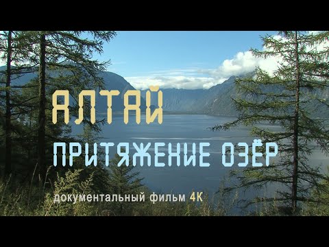 Видео: Сибирь. Горный Алтай. Телецкое озеро. Река Катунь. Гора Белуха. Озеро Джулукуль. Nature of Russia.4К