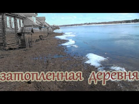 Видео: Старинные находки в затопленной деревне.Коп старины в реке.Коп старины с металлоискателем.Коп в воде