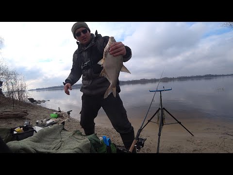 Видео: річка Дніпро🌊 ВІДКРИТТЯ СЕЗОНА по ЛЯЩУ ❗❗❗ | Шалені клювання 🎬 Лящ Загинає quivertip