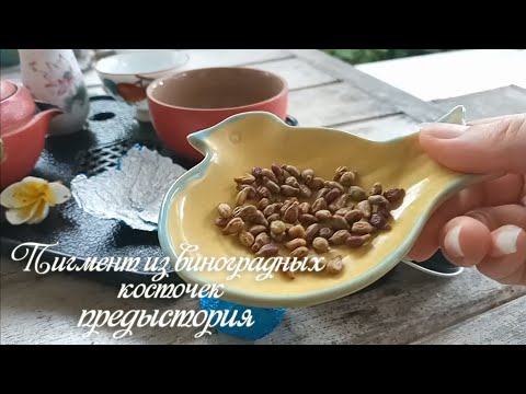 Видео: пигмент из виноградных косточек ~ предыстория