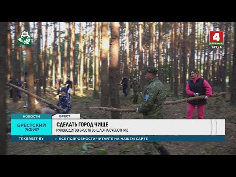 Видео: СДЕЛАТЬ ГОРОД ЧИЩЕ