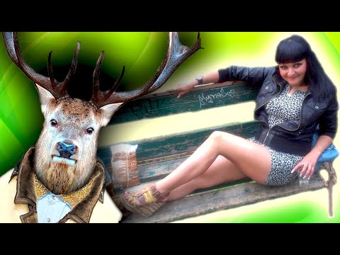 Видео: СОДЕРЖАНКИ ищут АЛЕНЕЙ - [ Обеспечивай меня ПОЛНОСТЬЮ ]