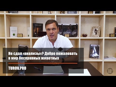 Видео: Не сдал «анализы»? Добро пожаловать в мир бесправных животных