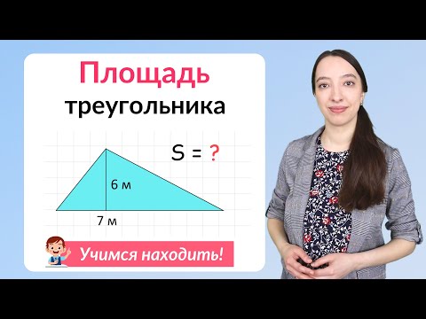 Видео: Площадь треугольника. Как найти площадь треугольника?