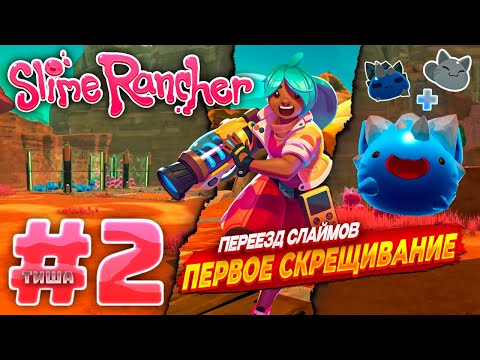 Видео: Slime Rancher | НАВОЖУ ПОРЯДКИ ПЕРВОЕ СКРЕЩИВАНИЕ | #2