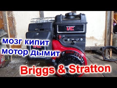 Видео: ЧУТЬ МОЗГ НЕ ВСКИПЕЛ , ДЫМИТ Briggs & Stratton 8л/с, РАСПАКОВКА ЗАПЧАСТЕЙ