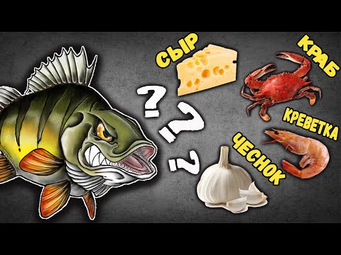 Видео: Важен ли Запах и Вкус Приманки При Ловле Хищной Рыбы на Спиннинг? Активаторы Клева.