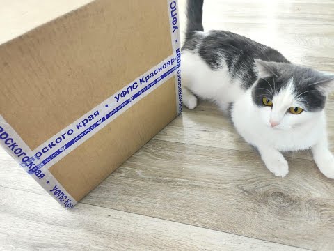 Видео: Посылка от Светланы Голубцовой