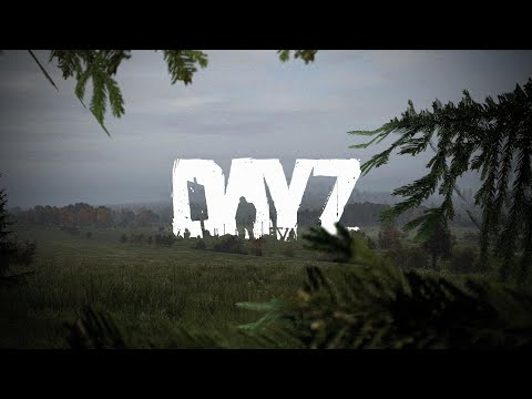 Видео: dayz  см . описание  #shorts  #игры #dayz