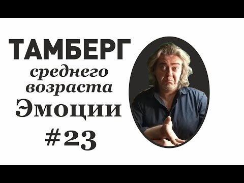 Видео: №23. Эмоции. Как остановить поток негатива