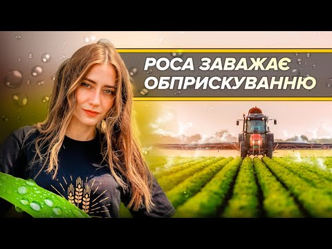 Видео: ОБПРИСКУВАННЯ ПІД ЧАС РОСИ- ПОГАНА ІДЕЯ?