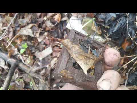 Видео: Что можно найти за гаражами !!!