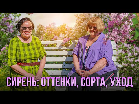 Видео: Сирень: оттенки, сорта, уход