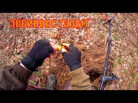 Видео: ОТКРЫТИЕ СЕЗОНА КОПА 2024. РЕАЛЬНЫЕ СИГНАЛЫ НА ЭКВИНОКС