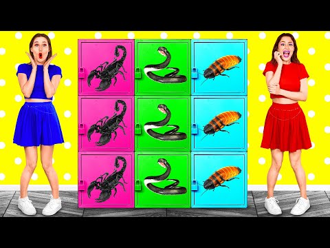 Видео: Челлендж Цветная Загадочная Коробка | Смешные Челленджи от KaZaZa