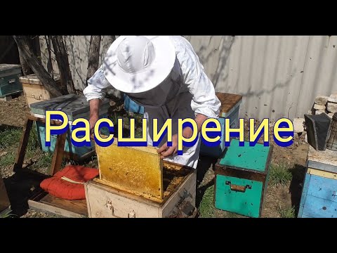 Видео: Как я расширяю гнезда пчел весной.