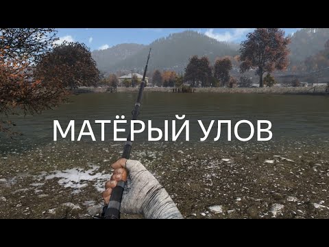 Видео: DAYZ 1.26 | ПЕРВАК PVE | ОСЕННИЙ СЕЗОН 10 СЕРИЯ | АТМОСФЕРА ВЫЖИВАНИЯ В СОЛО!