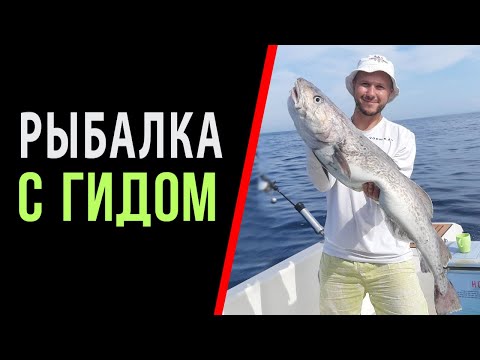 Видео: Ловля ТРЕСКИ. БАНКА ЗУБРА! Владивосток.