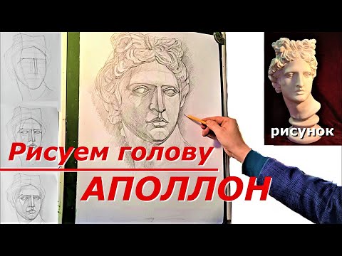 Видео: Рисуем голову.  Аполлон.  Рисунок