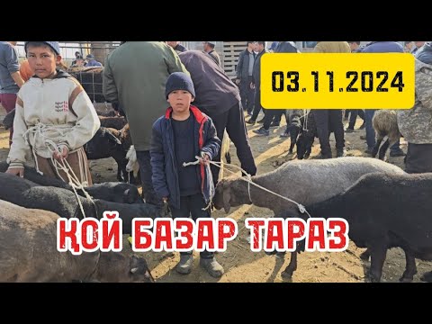 Видео: 3 ноября 2024 г. ҚОЙ БАЗАР ТАРАЗ / МАЛ БАЗАР