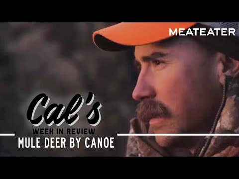 Видео: Кэл в поле: Олень-мул на каноэ с OnX | Сезон 1, серия 3 | MeatEater