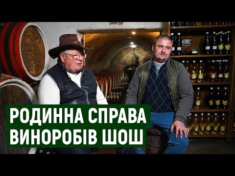 Видео: Родинна справа: сім’я Шош з Закарпаття вирощує 10 гектарів винограду та виготовляє з нього вино