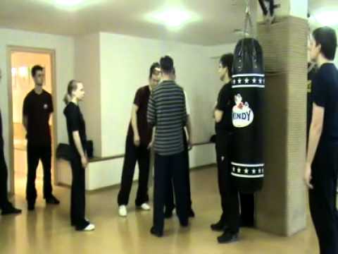 Видео: 4. Дан сюе (цинна) — воздействие на энергетические каналы в винчун.