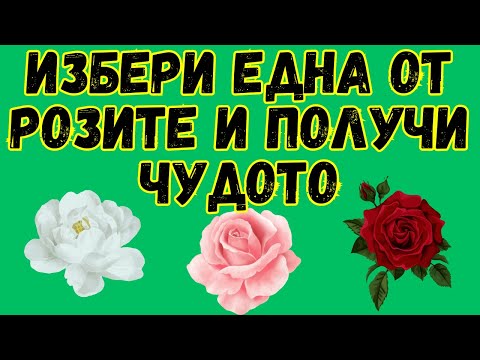 Видео: Избери една от розите и получи чудото | Божие послание днес | Божие послание за вас | Божие послание