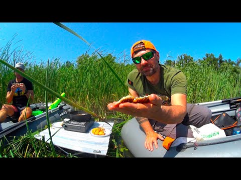 Видео: ПЕКЕЛЬНА КУХНЯ НА БОЛОТІ 🥣 Смажимо КАРАСІВ 🐟 прямо в очереті 🌾 ФІДЕР З ЧОВНА! /Always with Kruchkoff