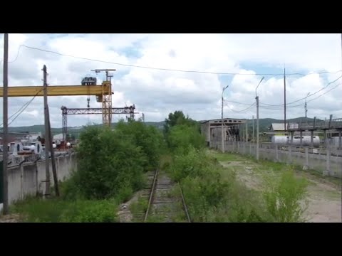 Видео: Тепловоз ТГМ-40, штурмует заросли тальника.