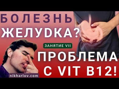 Видео: Как желудок переваривает пищу: белок, углеводы, жиры, внутренний фактор Касла, кобаламин Витамин В12