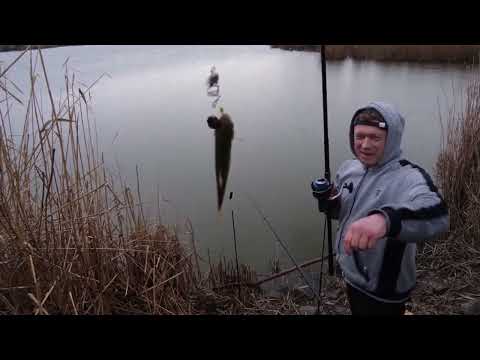 Видео: ЗАПОРОЖЬЕ РЫБАЛКА БЕЛЫЙ АМУР!