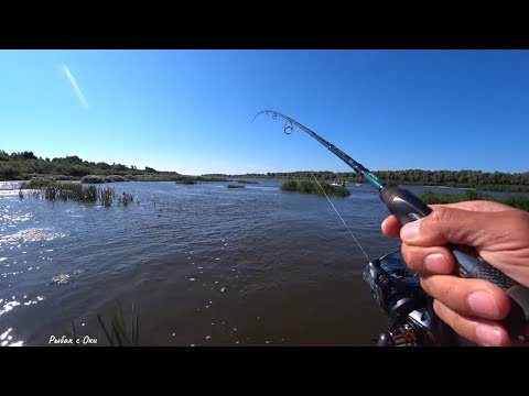 Видео: Попал в Щучий рай! Рыбалка на Спиннинг с Лодки на Оке!