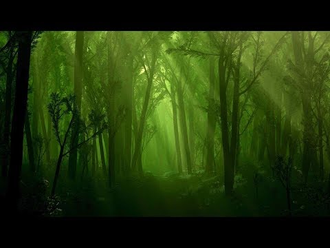 Видео: Мистика бушкрафта