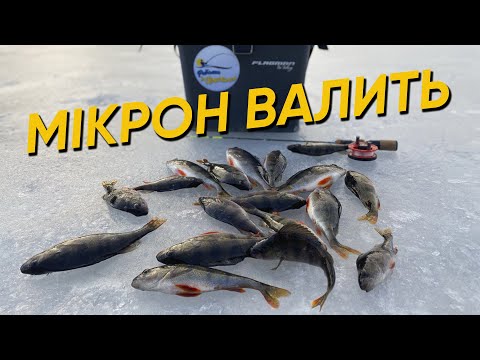 Видео: ЯК ЗЛОВИТИ ГАРНИХ ОКУНІВ З ЛЬОДУ НА БАЛАНСИР МІКРОН ... МІКРОН ВАЛИТЬ ))