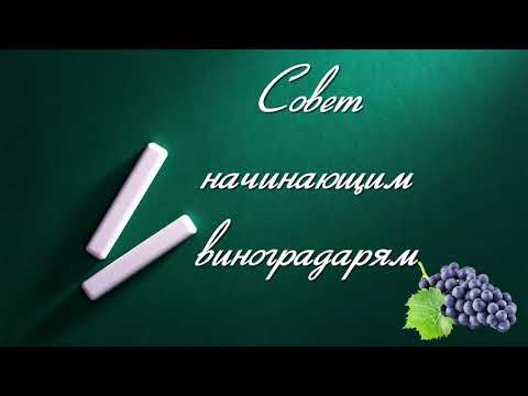 Видео: Совет о влагозарядке начинающим виноградарям.