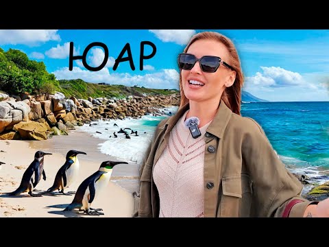 Видео: Прилетели в ЮАР и попали на пляж с пингвинами. Саймонс Таун - дикий запад в Африке