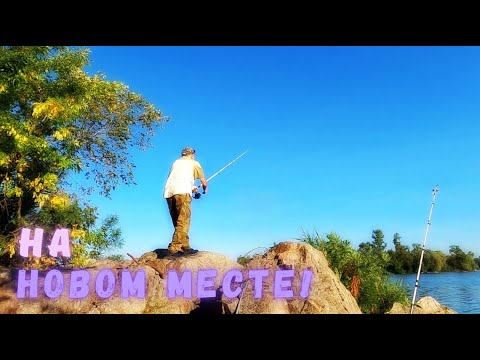 Видео: Новое рыболовное место и ловля сазана, которую я не снял