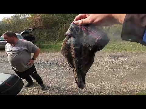 Видео: Приварили рулевой стакан обратно к раме Ситикоко